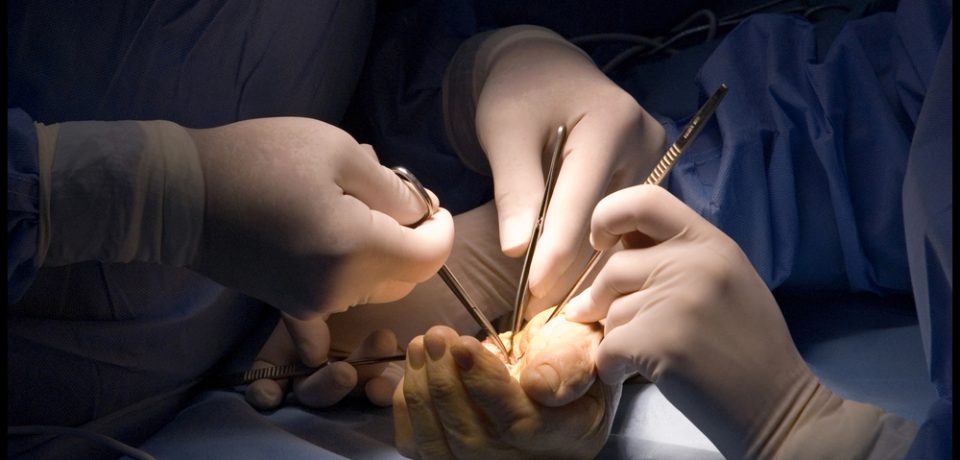 shutterstock_38080258